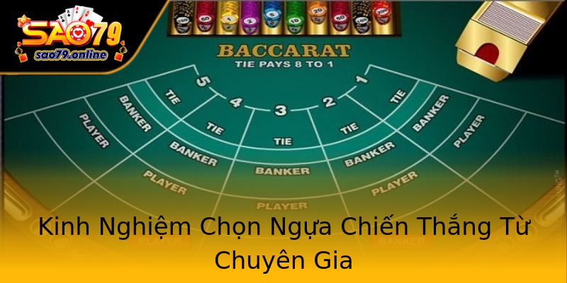 Kinh Nghiệm Chọn Ngựa Chiến Thắng Từ Chuyên Gia Kinh Nghiệm Chọn Ngựa Chiến Thắng Từ Chuyên Gia