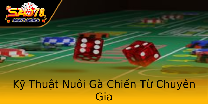 Kỹ Thuật Nuôi Gà Chiến Từ Chuyên Gia Kỹ Thuật Nuôi Gà Chiến Từ Chuyên Gia